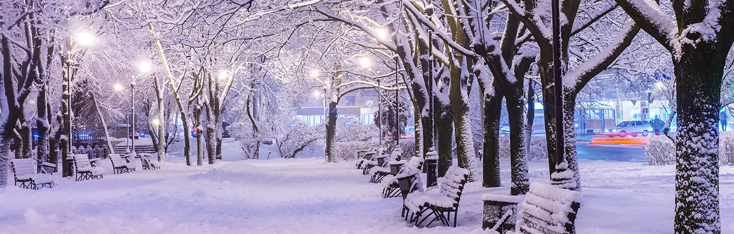 Snow Storm