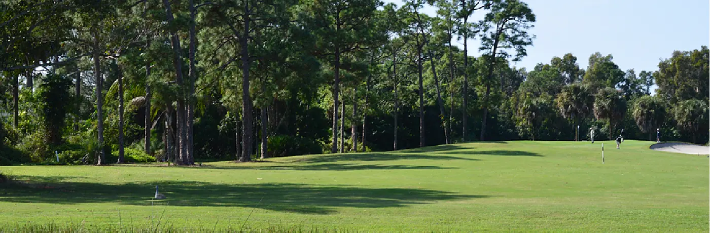 Golf course greens