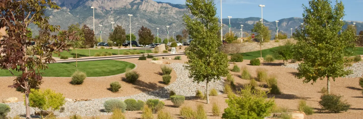 Xeriscaping Hero 