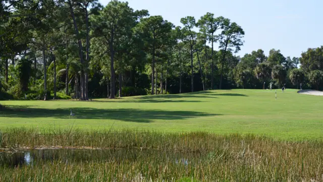 Golf course greens