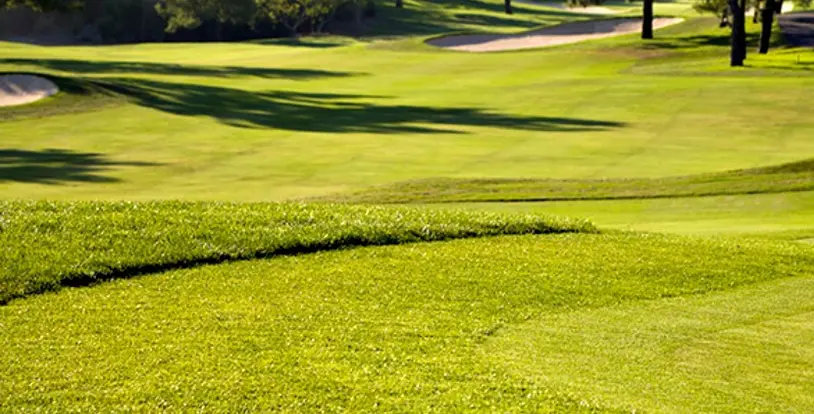 Golf course greens