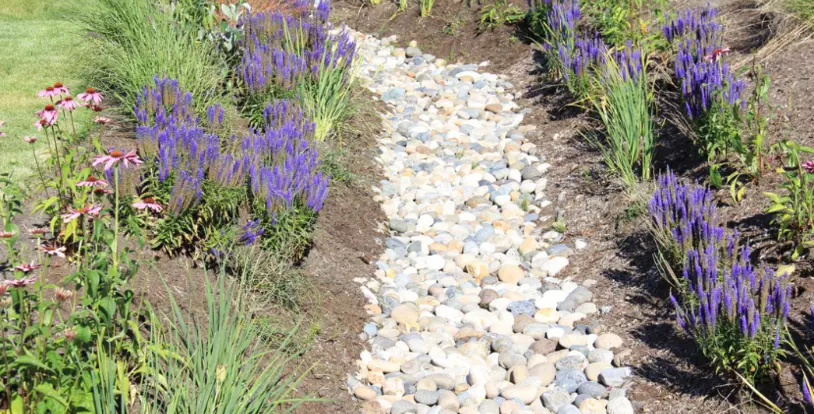 Rock Garden