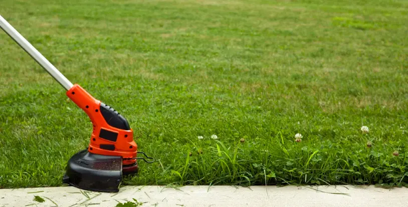 Weed Management