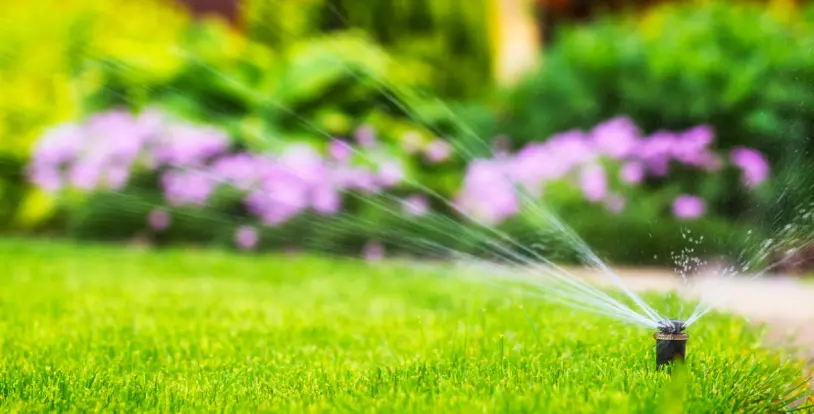 Sprinkler System