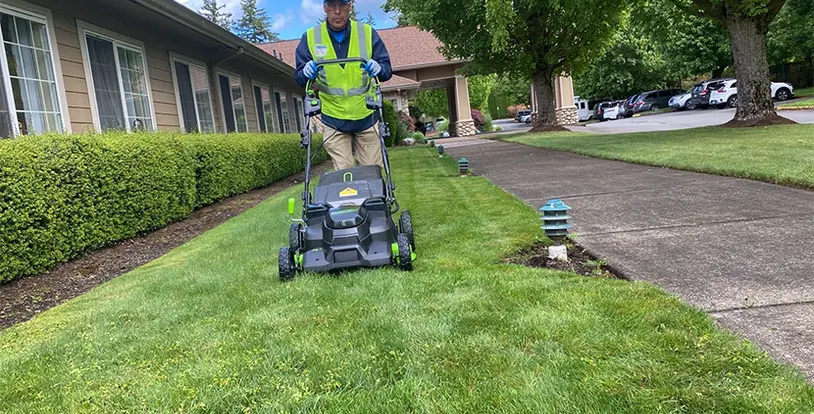 Green mower