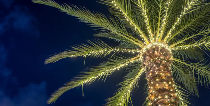 Florida festivities 
