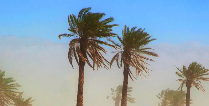 Santa Ana Winds