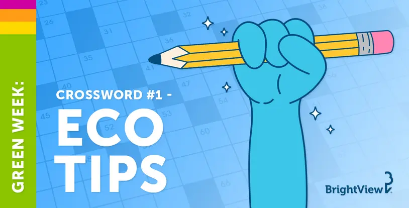 Green Week: Crossword