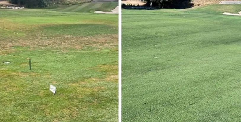 Golf related image