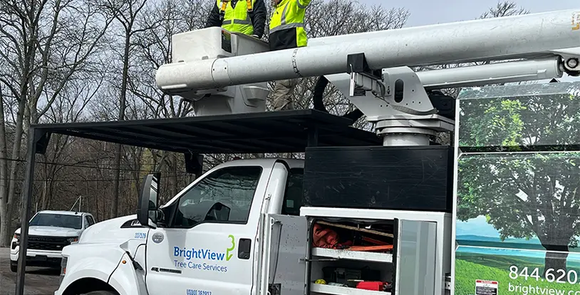 Tree care related